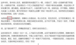 娱乐吃瓜君视频论文,揭秘网络娱乐现象背后的真相与影响