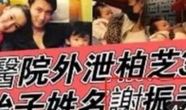 娱乐圈吃瓜名字怎么取名,揭秘明星幕后故事，带你领略八卦风云