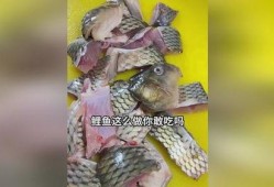 吃瓜娱乐小鲤鱼视频,趣味视频引网友热议