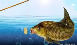 吃瓜娱乐小鲤鱼视频,趣味视频引网友热议