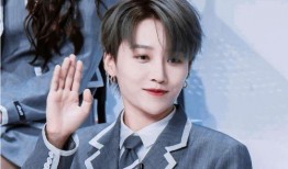 娱乐圈吃瓜爆料刘雨昕,娱乐圈风云变幻中的璀璨星辉