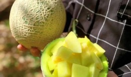 娱乐圈吃瓜壁纸图片,揭秘明星幕后故事