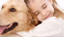 娱乐吃瓜酱养宠物,萌宠相伴，欢乐无限