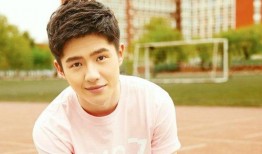 吃瓜娱乐圈李现胡一天,娱乐圈的瓜田新秀