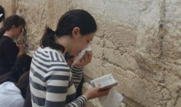 吃瓜娱乐圈小羊,揭秘吃瓜群众的娱乐盛宴